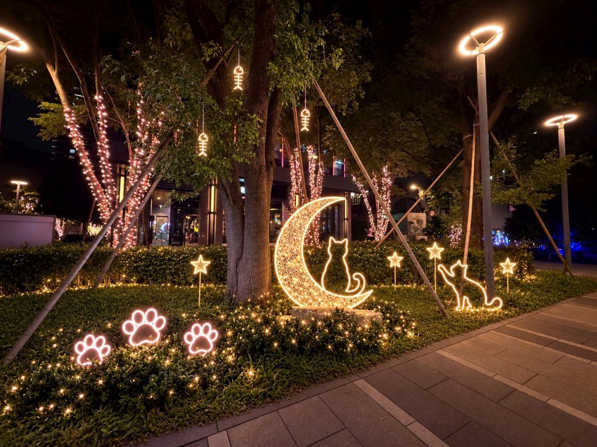 傑仕堡貓樂園 - 傑仕堡有氧酒店