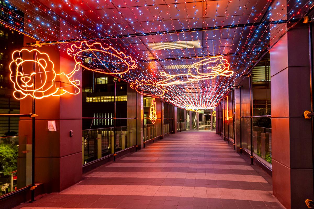 Extreme Fire Ring Show