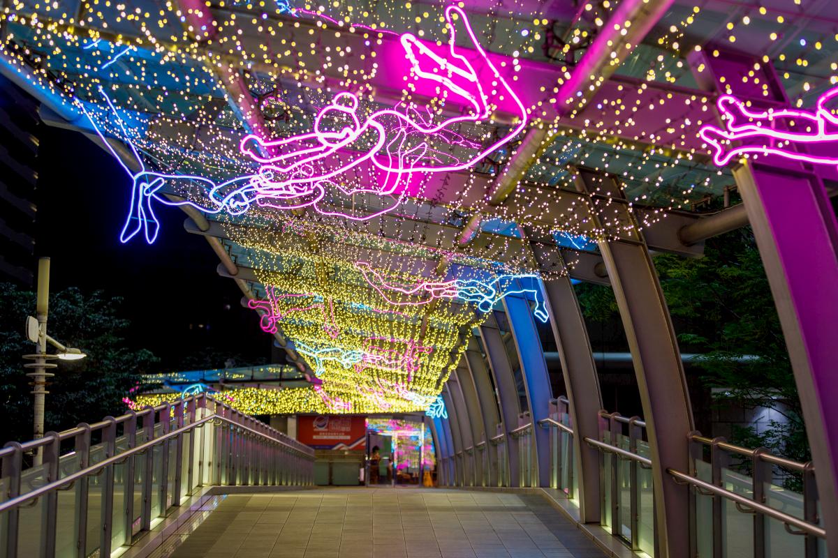 Dazzling Aerial Acrobats